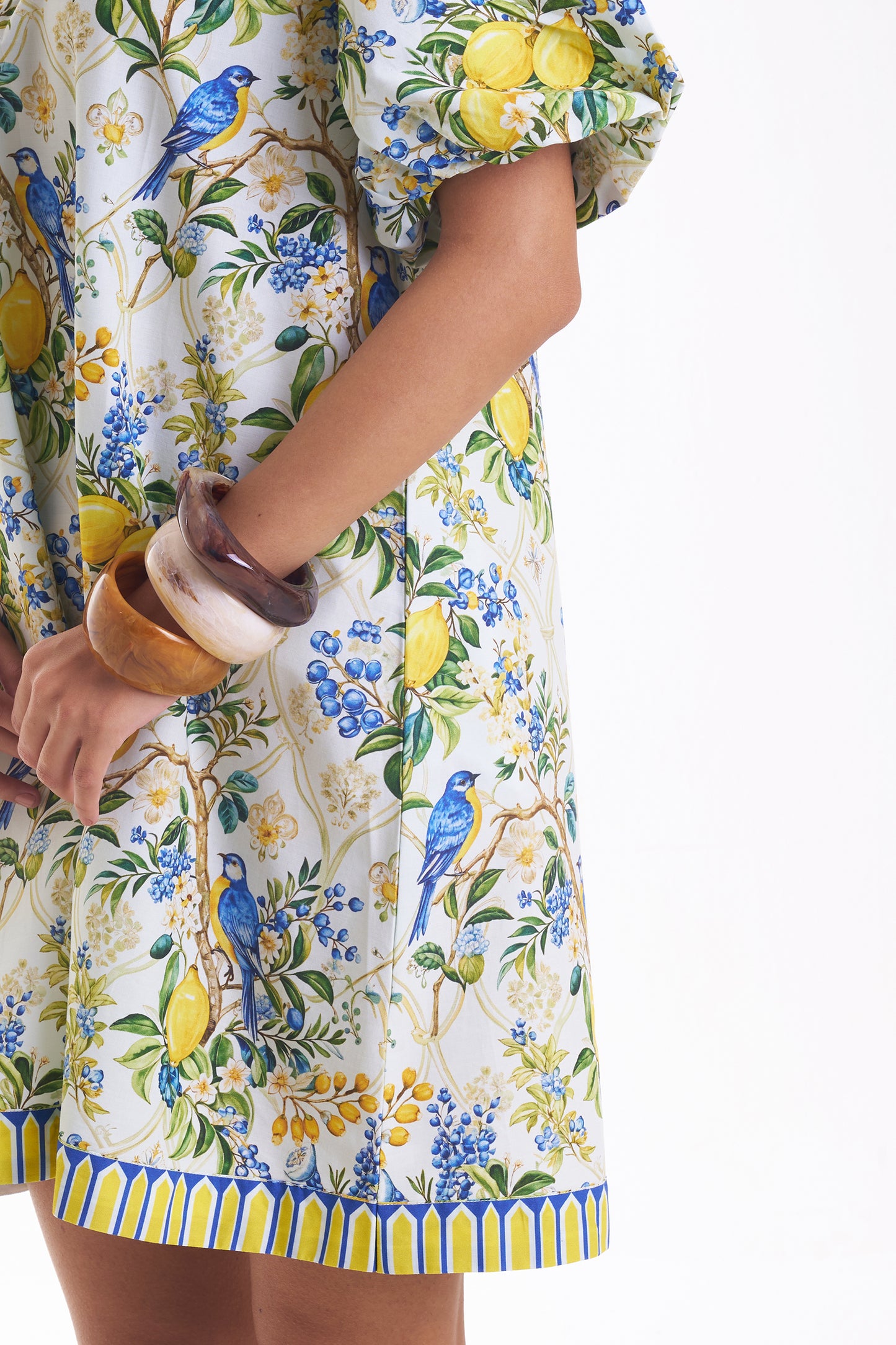 Sunny Songbird Dress