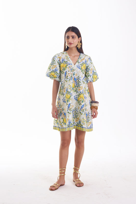 Sunny Songbird Dress