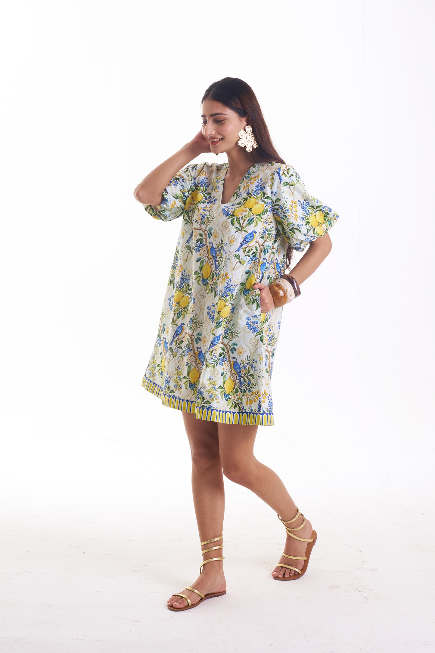 Sunny Songbird Dress