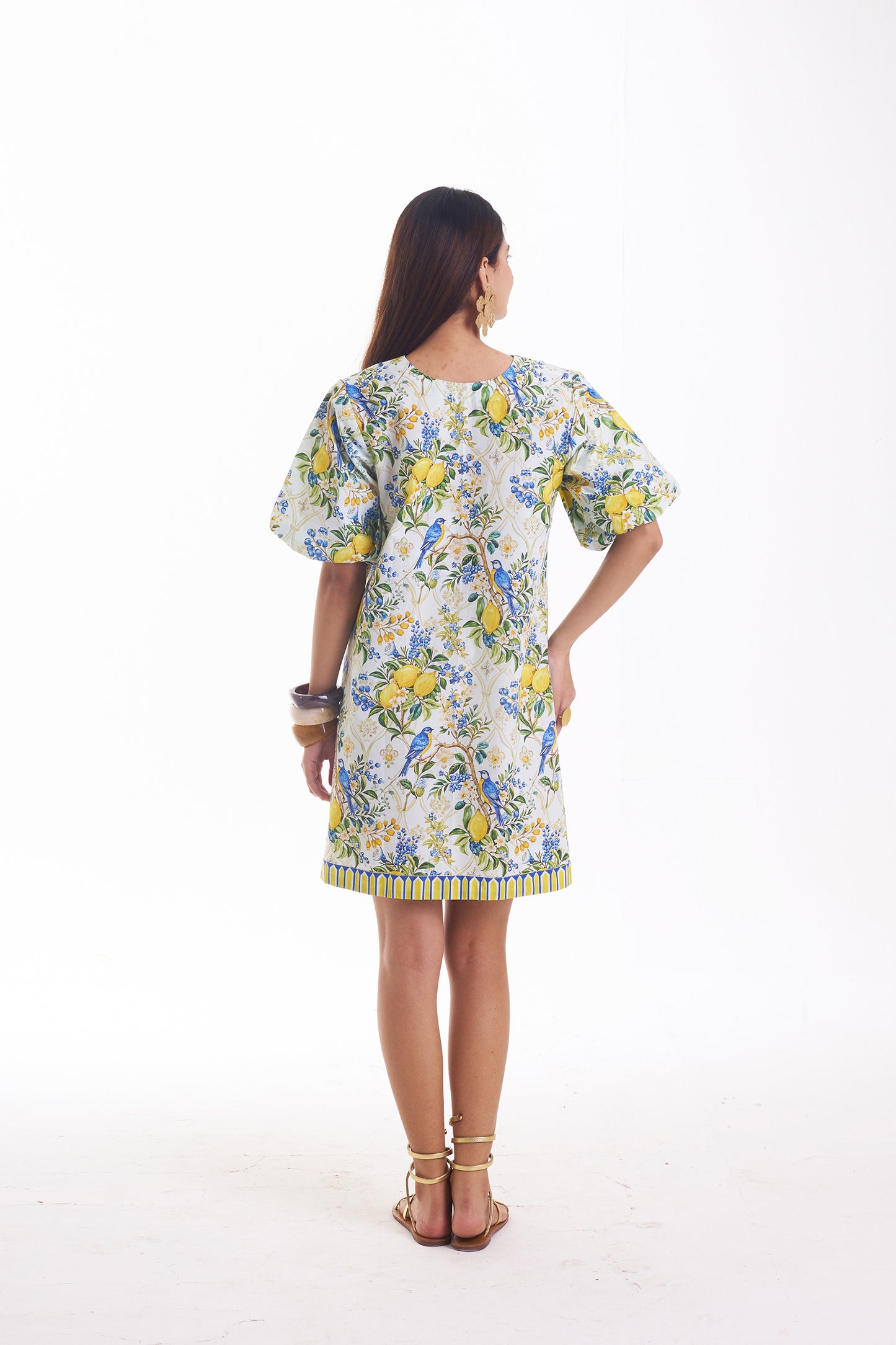 Sunny Songbird Dress