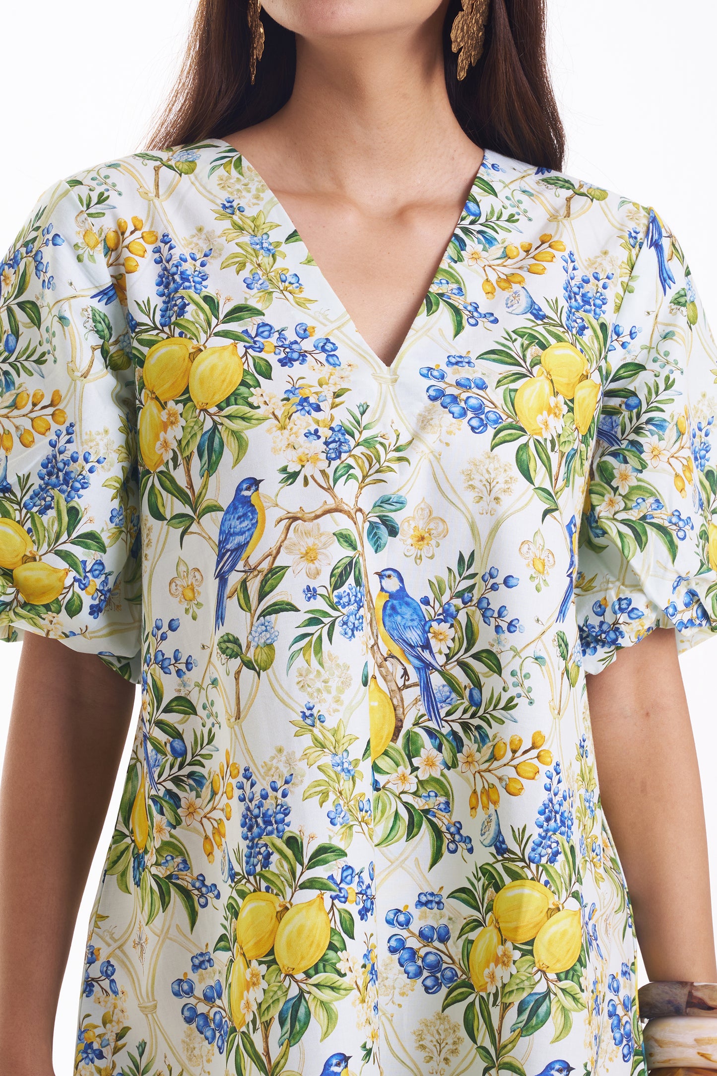 Sunny Songbird Dress